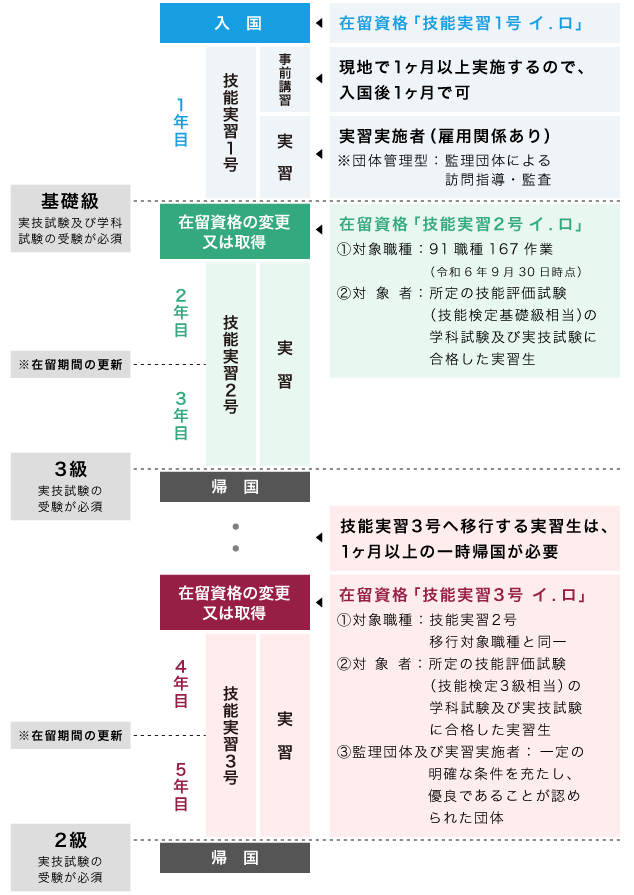 技能実習3年間（5年間）の流れの説明図